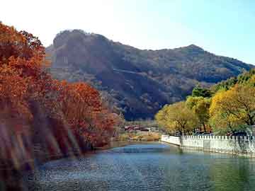 新澳天天彩免费资料大全查询，彭水苗族土家族自治seo服务